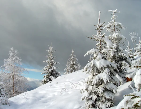 Kış manzarası (7) — Stok fotoğraf