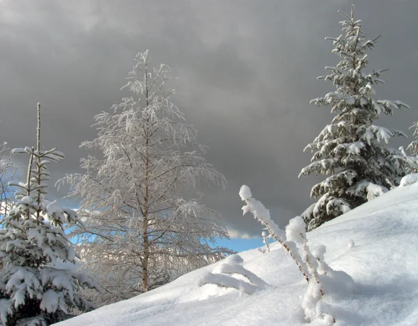 Início da queda de neve — Fotografia de Stock