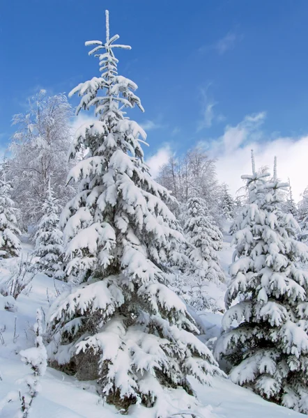 Zimowy krajobraz 1 — Zdjęcie stockowe
