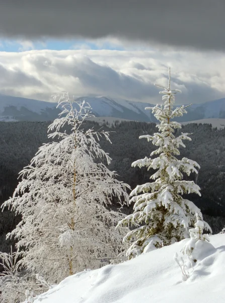 Zimowy krajobraz 2 — Zdjęcie stockowe