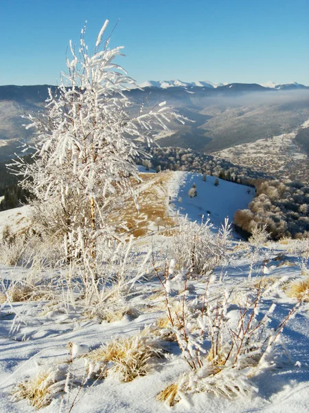 겨울 산 (1) — 스톡 사진