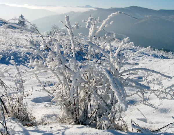 Zimowy krajobraz (8) — Zdjęcie stockowe