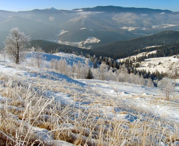 Winterlandschaft (10) — Stockfoto