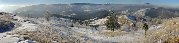 Kış bağlama panoram (2) — Stok fotoğraf