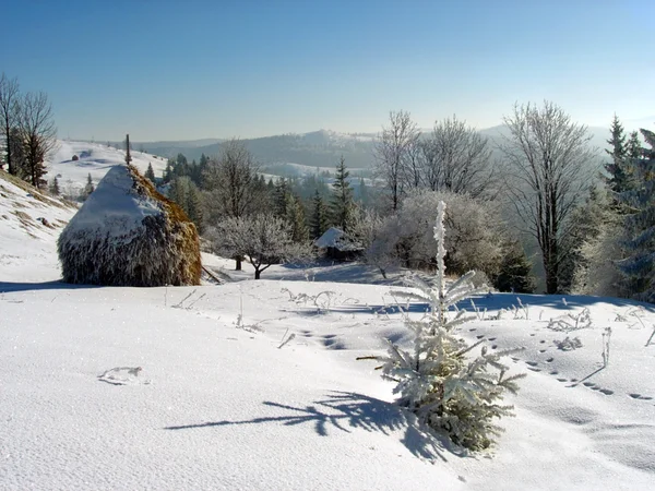Inverno monte fazenda — Fotografia de Stock