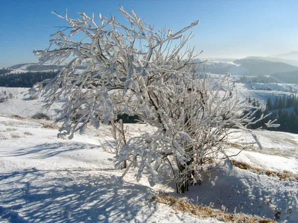 Paisagem de Inverno (12 ) — Fotografia de Stock