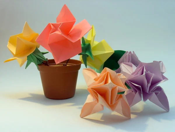 Origami fiori — Foto Stock