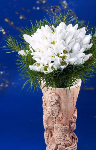 Bouquet de fleurs goutte de neige — Photo