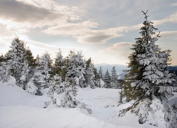 Berglandschaft — Stockfoto