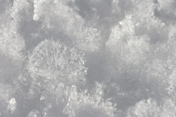 Cristal de neve — Fotografia de Stock