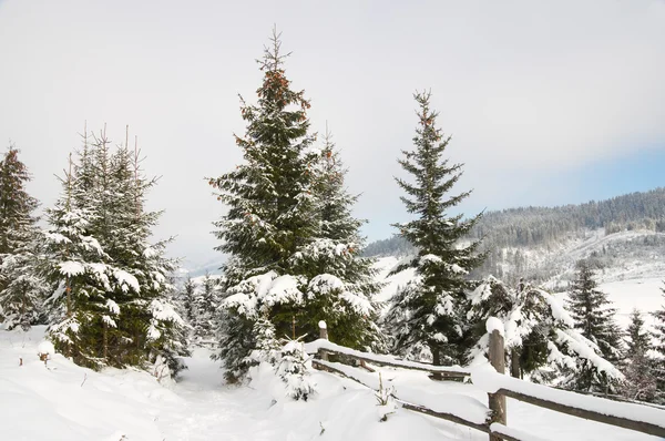 Paesaggio invernale — Foto Stock