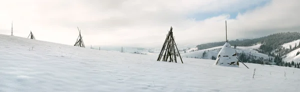 冬景色 — ストック写真