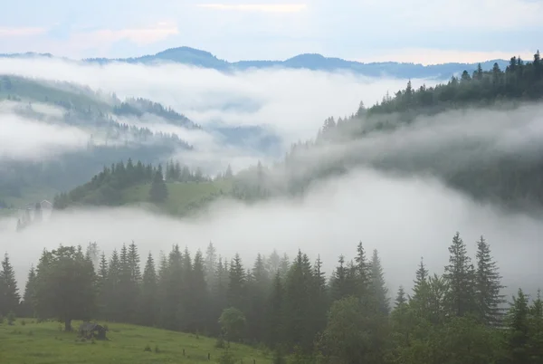 Mlha v horských — Stock fotografie