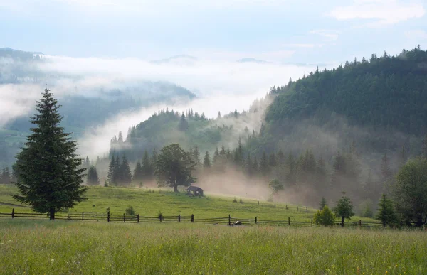 雾中的山 — 图库照片