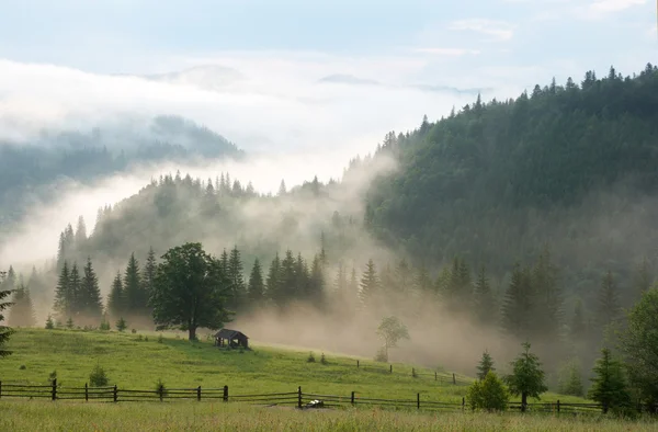 Mist in mountain — Stock Photo, Image
