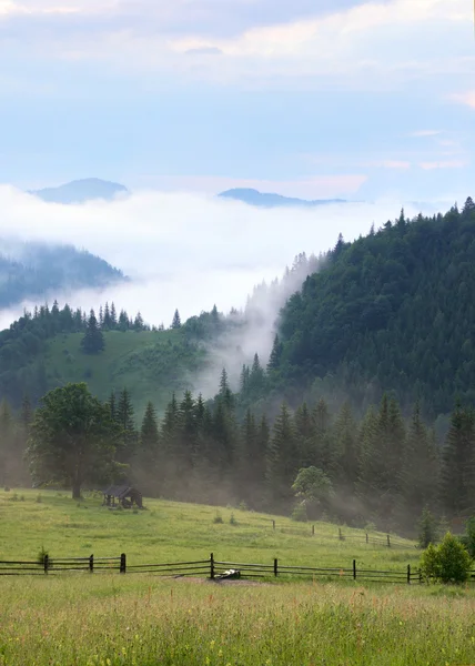 Ομίχλη στο βουνό — Φωτογραφία Αρχείου