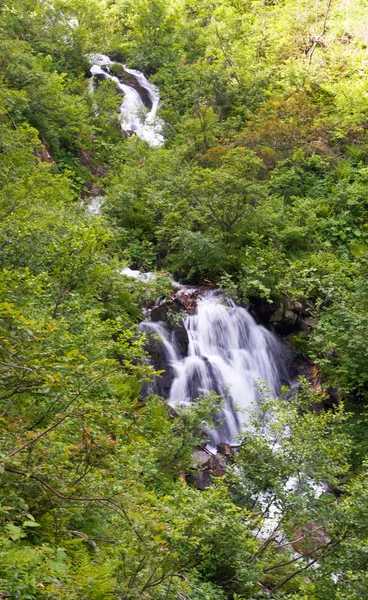 Летний водопад — стоковое фото