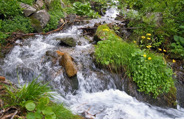 Summer mountain waterfall — Stock Photo, Image