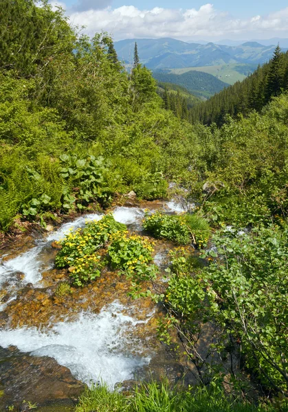 Verano montaña río — Foto de Stock