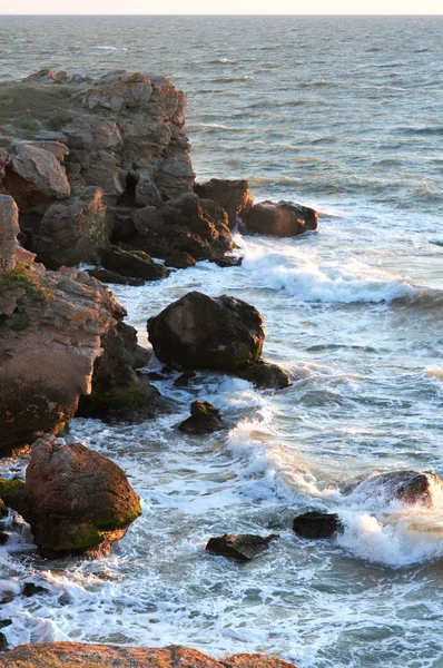 朝夏の海 — ストック写真