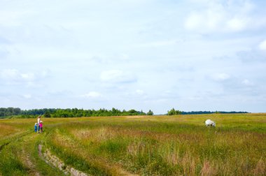 çayır üzerinde aile