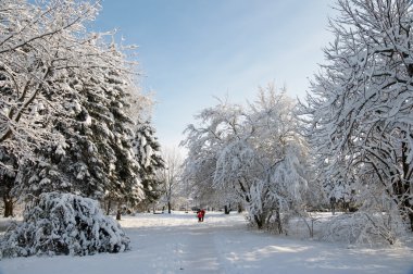 Family in winter park clipart