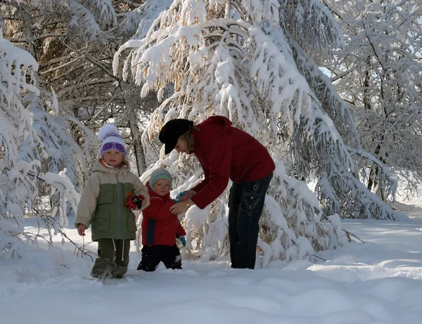 冬の公園で家族 — ストック写真