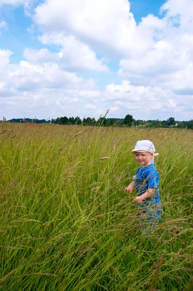 Boy on meadow — Stock Photo, Image