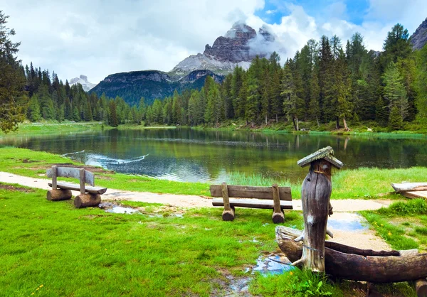 Alpesi nyár tóra néző — Stock Fotó