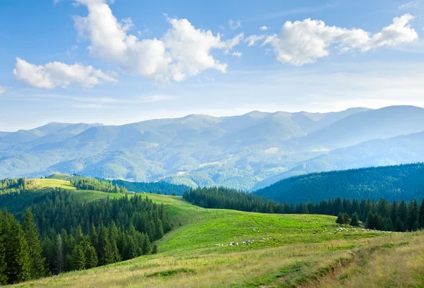 夏の山の高原の風景 — ストック写真