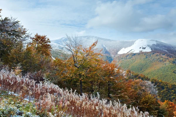 最初冬雪と秋紅葉の山 — ストック写真