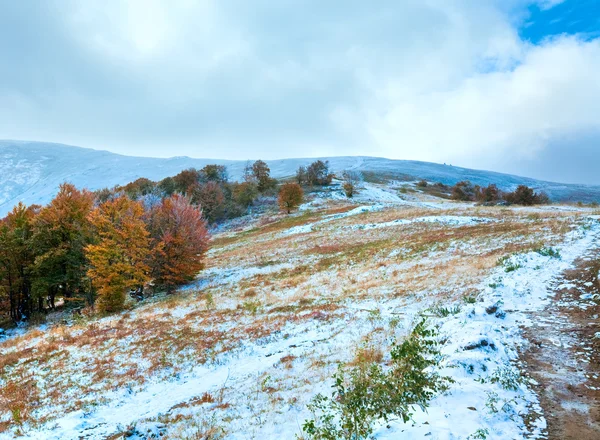 První zimní sníh a podzimní barevné listí na hoře — Stock fotografie