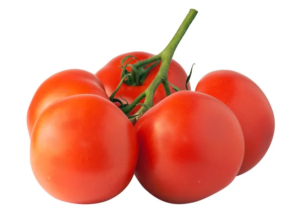 Rama de tomates — Foto de Stock
