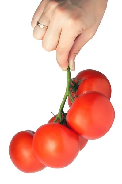 Pomidory w ręku kilka — Zdjęcie stockowe