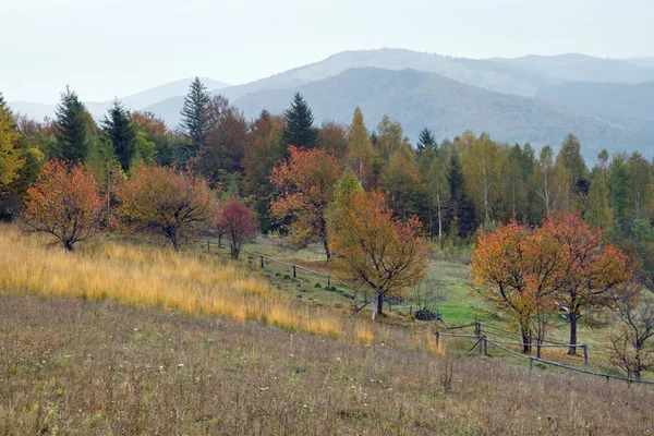 Otoño — Foto de Stock