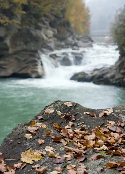 Hösten river — Stockfoto