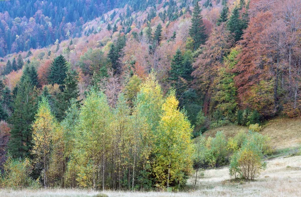 Vista montanha de outono com — Fotografia de Stock