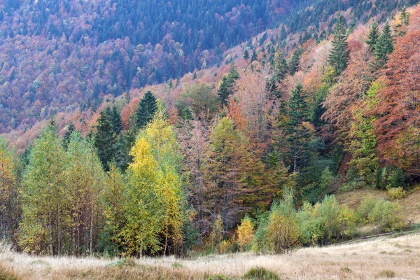 Herfst uitzicht op de bergen met — Stockfoto