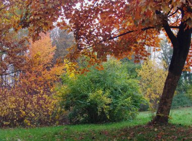 Sonbahar Parkı