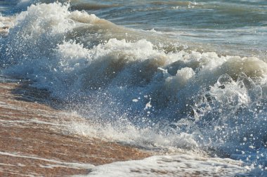 Deniz surf dalgası