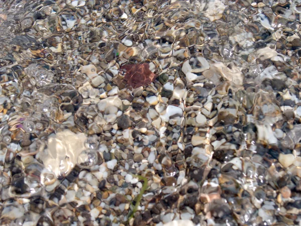 Pebble through water — Stock Photo, Image