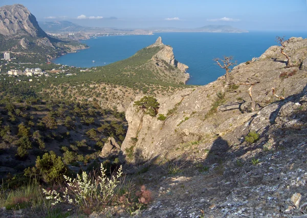 stock image Coastline