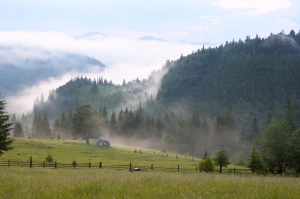 Niebla en la montaña — Foto de Stock