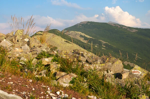 山の石ビュー — ストック写真