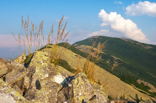 Кам'янисті видом на гори — стокове фото