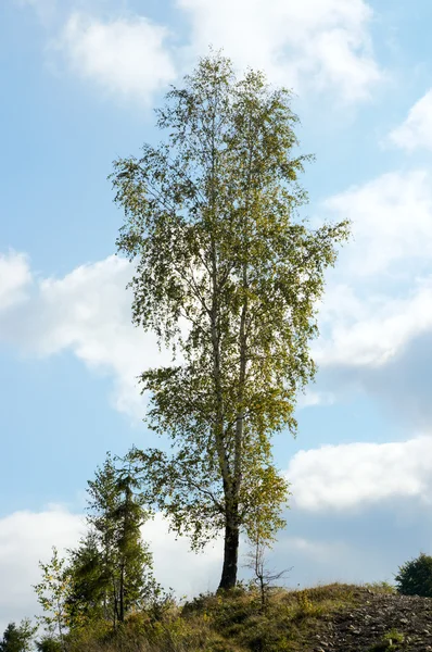 Berglandweg — Stockfoto