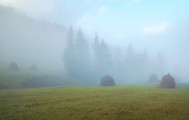 haystacks, Puslu sabah