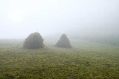 haystacks, Puslu sabah