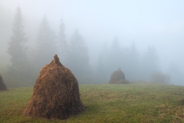 haystacks, Puslu sabah