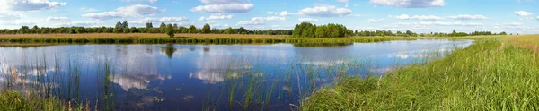 Summer rushy lake panorama — Stock Photo, Image